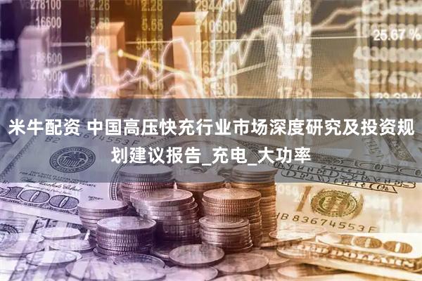 米牛配资 中国高压快充行业市场深度研究及投资规划建议报告_充电_大功率