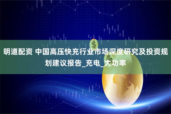 明道配资 中国高压快充行业市场深度研究及投资规划建议报告_充电_大功率