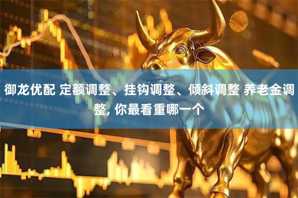 御龙优配 定额调整、挂钩调整、倾斜调整 养老金调整, 你最看重哪一个
